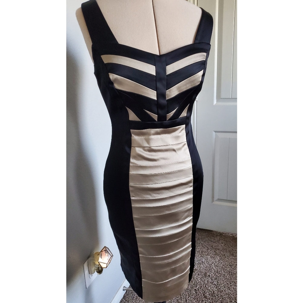 Champagne and black stretch satin cocktail dress